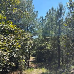 Photo #40 of 1530 Ridgeview, Chester, SC
