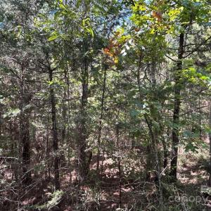 Photo #34 of 1530 Ridgeview, Chester, SC