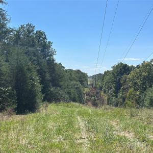 Photo #37 of 1530 Ridgeview, Chester, SC