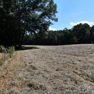 Photo #10 of 3539 Highway 97, Sharon, SC