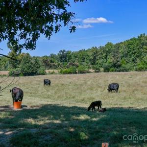 Photo #3 of 3539 Highway 97, Sharon, SC