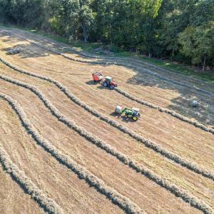 Photo #15 of 3539 SC Hwy 97, Sharon, SC