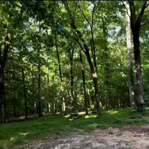 Photo #3 of 1402 Bloomsberry, Waxhaw, NC