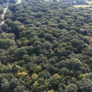 Photo #7 of 3004 Potter, Waxhaw, NC