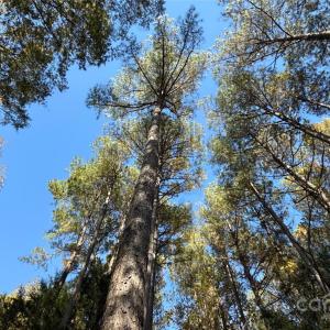 Photo #21 of 5401 Army, Marshville, NC