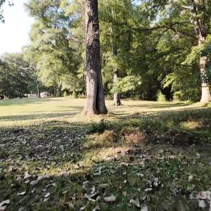 Photo #13 of 3943 Walker, Rock Hill, SC