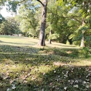 Photo #11 of 3943 Walker, Rock Hill, SC