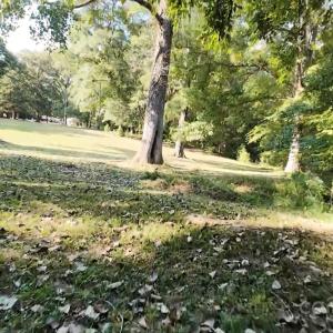 Photo #14 of 3943 Walker, Rock Hill, SC