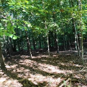 Photo #8 of 3943 Walker, Rock Hill, SC