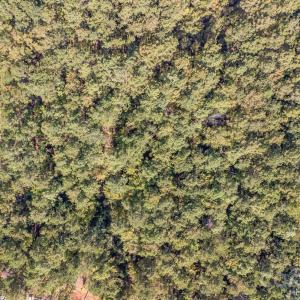 Photo #27 of 3304 Sherman, Lancaster, SC