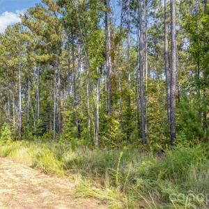 Photo #14 of 3304 Sherman, Lancaster, SC