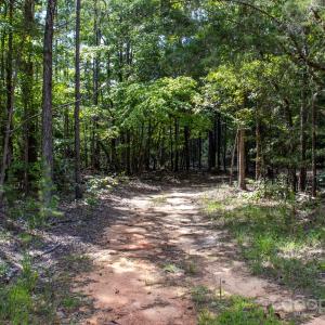 Photo #47 of 2787 Center, Chester, SC