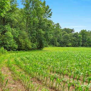 Photo #1 of Lucy Short Cut, Marshville, NC