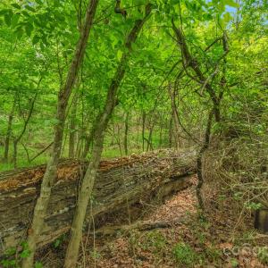 Photo #13 of Lucy Short Cut, Marshville, NC