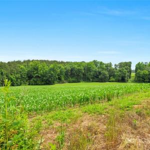 Photo #21 of Lucy Short Cut, Marshville, NC