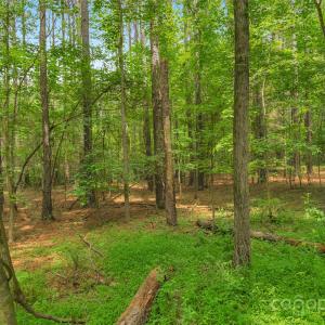 Photo #14 of Lucy Short Cut, Marshville, NC