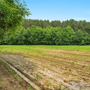 Photo #11 of Lucy Short Cut, Marshville, NC