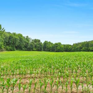 Photo #3 of Lucy Short Cut, Marshville, NC