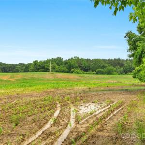 Photo #9 of Lucy Short Cut, Marshville, NC