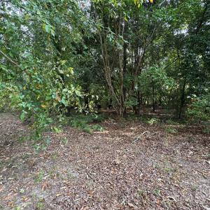 Photo #3 of James Hamilton, Monroe, NC