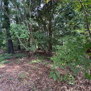 Photo #5 of James Hamilton, Monroe, NC