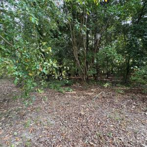 Photo #12 of James Hamilton, Monroe, NC