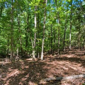 Photo #28 of 6860 Pine Moss, Lake Wylie, SC