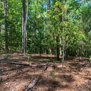 Photo #29 of 6860 Pine Moss, Lake Wylie, SC