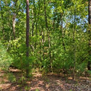 Photo #33 of 6860 Pine Moss, Lake Wylie, SC