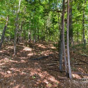 Photo #7 of 6860 Pine Moss, Lake Wylie, SC