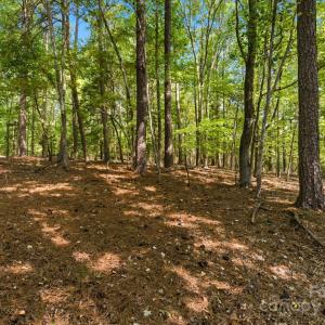 Photo #8 of 6860 Pine Moss, Lake Wylie, SC