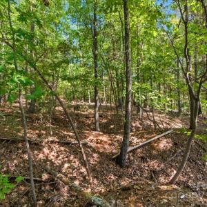 Photo #27 of 6860 Pine Moss, Lake Wylie, SC