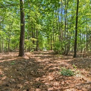 Photo #6 of 6860 Pine Moss, Lake Wylie, SC