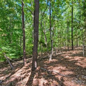 Photo #31 of 6860 Pine Moss, Lake Wylie, SC