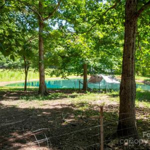 Photo #10 of 11151 Lower Rocky River, Concord, NC