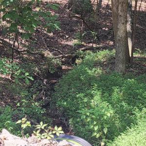 Photo #20 of 1115 John Short, Indian Land, SC