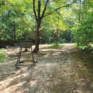 Photo #36 of 1115 John Short, Indian Land, SC