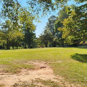 Photo #11 of 1115 John Short, Indian Land, SC