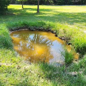 Photo #40 of 1115 John Short, Indian Land, SC