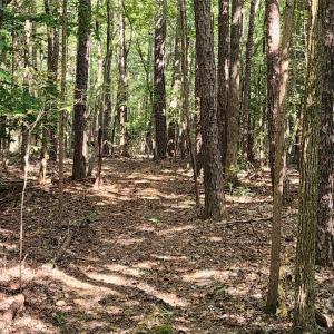 Photo #38 of 1115 John Short, Indian Land, SC