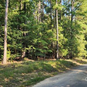 Photo #42 of 1115 John Short, Indian Land, SC