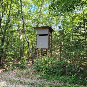 Photo #39 of 1115 John Short, Indian Land, SC