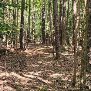 Photo #38 of 1115 John Short, Indian Land, SC