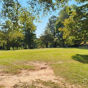 Photo #11 of 1115 John Short, Indian Land, SC