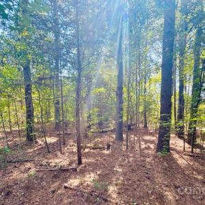 Photo #7 of 4142 SC Hwy 102, Chesterfield, SC