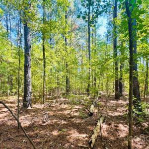 Photo #9 of 4142 SC Hwy 102, Chesterfield, SC