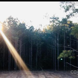 Photo #3 of 1561 Jones, Kershaw, SC