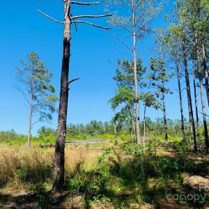 Photo #1 of 1561 Jones, Kershaw, SC