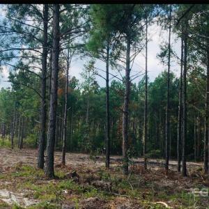 Photo #2 of 1561 Jones, Kershaw, SC