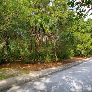 Photo #42 of 201 Grand Park, Charleston, SC